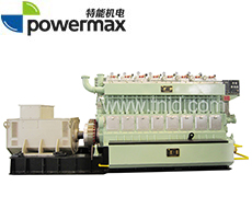 300系列400-1000KW生物质气发电机组